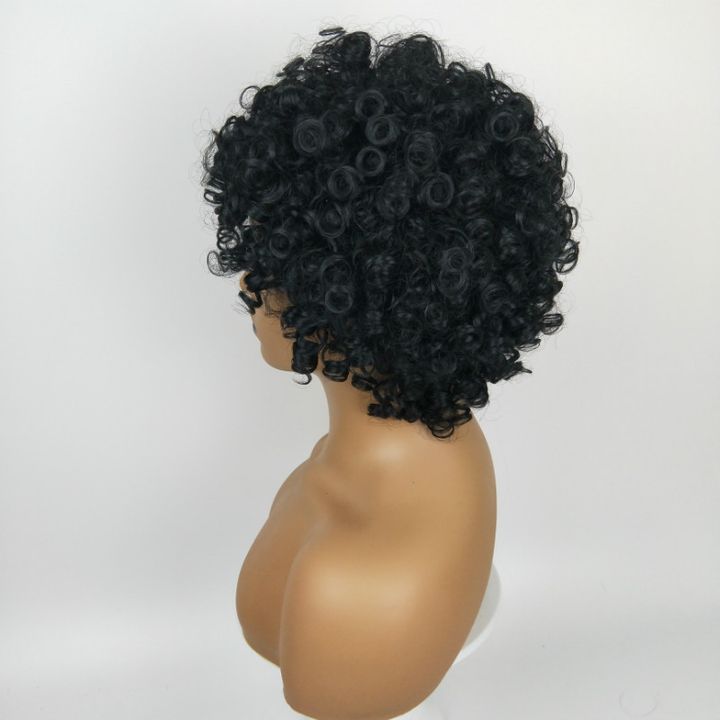 European and American Fashion Ladies Short Curly Wig African Black Hair Wigs For Women black as picture 16