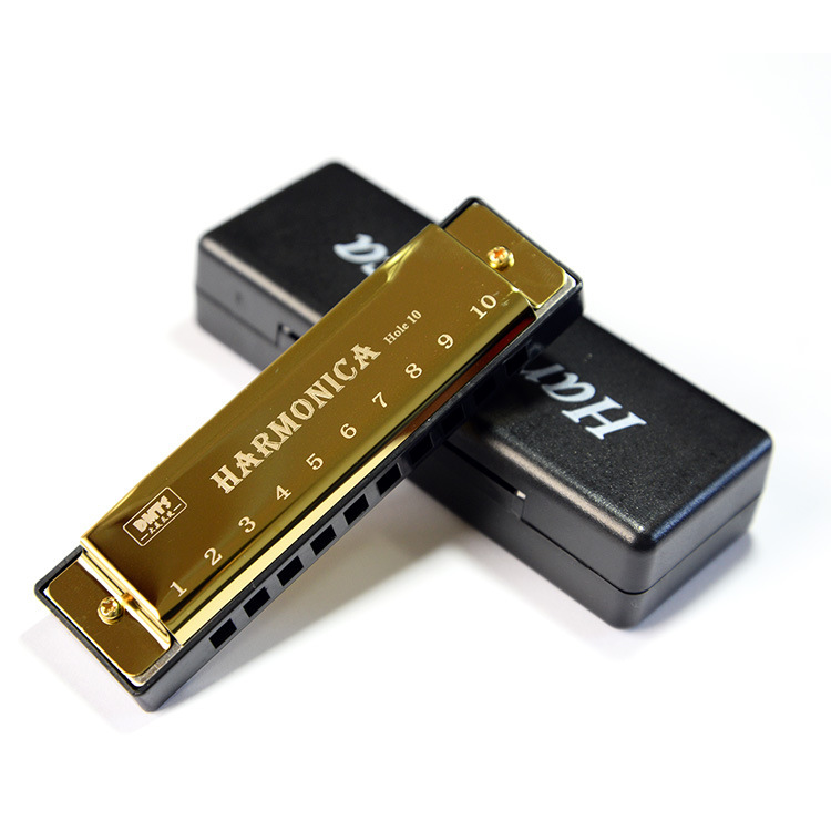 Hot Sales 10 Holes Swan Harmonica Diatonic Blues Musical Instrument Educational mouth organ