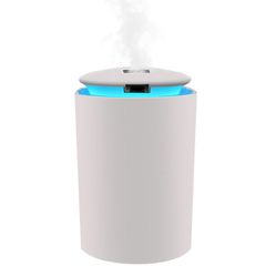 Air Humidifier Home USB Bottle Aroma Essential Oil Diffuser LED Backlight For Home Car USB Fogger Mist Maker with LED Night Lamp 2021 Mist Maker Refresher white one size
