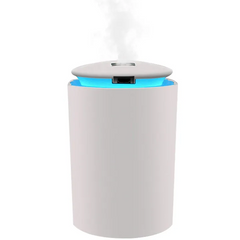 260ML Air Humidifier Home USB Bottle Aroma Essential Oil Diffuser LED Backlight For Home Car USB Fogger Mist Maker with LED Night Lamp 2023 Mist Maker Refresher white one size