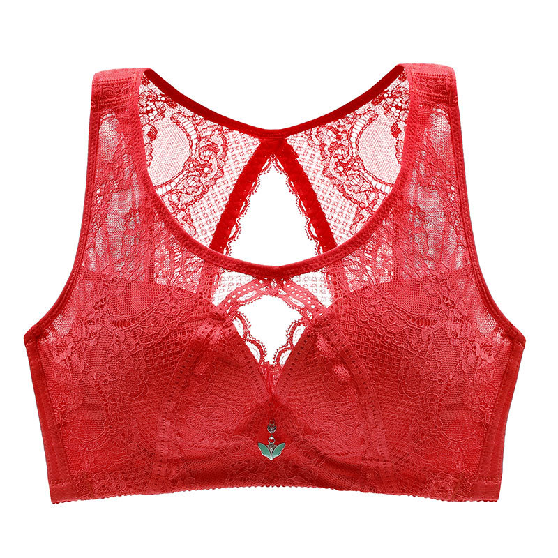 Women's Full Figure Wirefree Minimizer Support Lace Bra