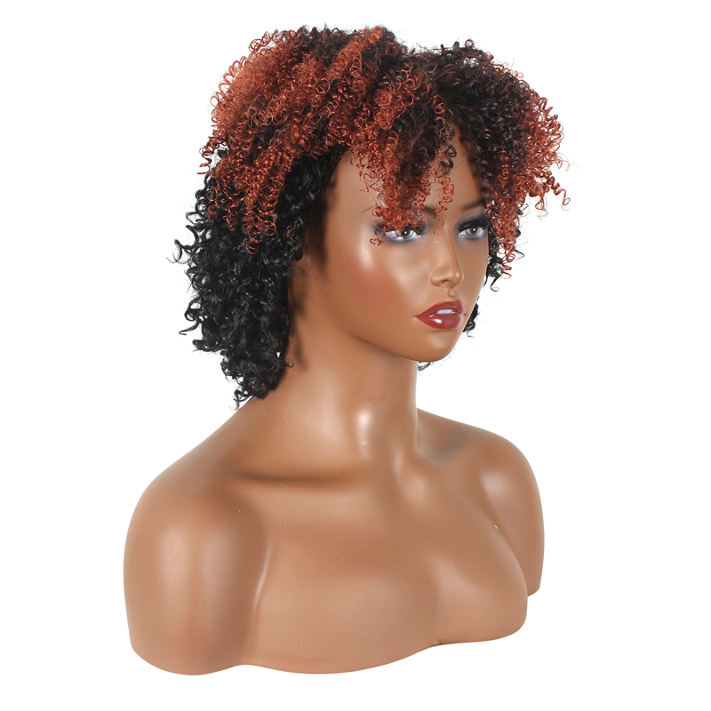 New Fashion Synthetic wigs Hair Wigs high class silk Women Wigs Hair 12inch curly short Human Wigs