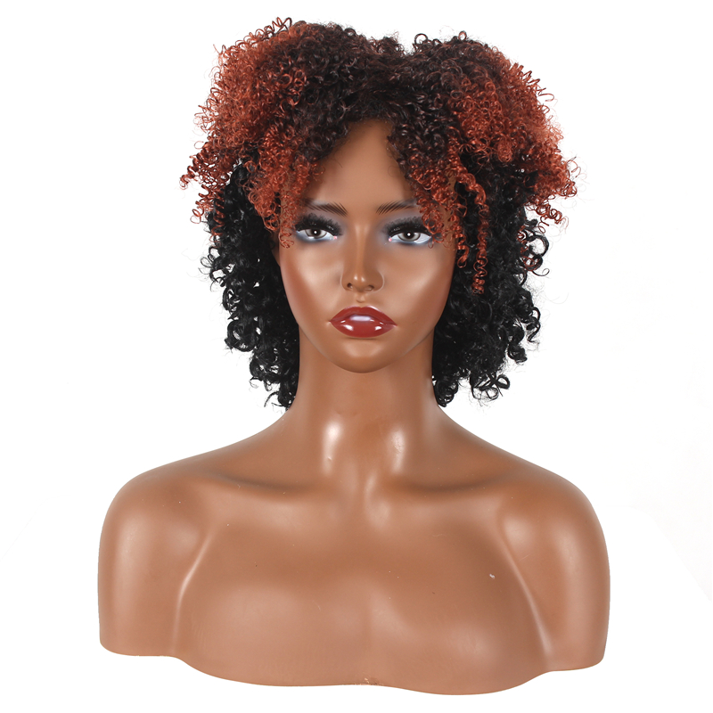 New Fashion Synthetic wigs Hair Wigs high class silk Women Wigs Hair 12inch curly short Human Wigs
