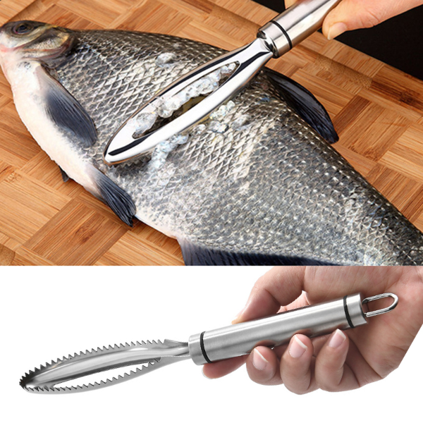 Efficient Fish Scales Scraping Stainless Scaler for Fish Cleaning  Kitchen & Dining room appliances