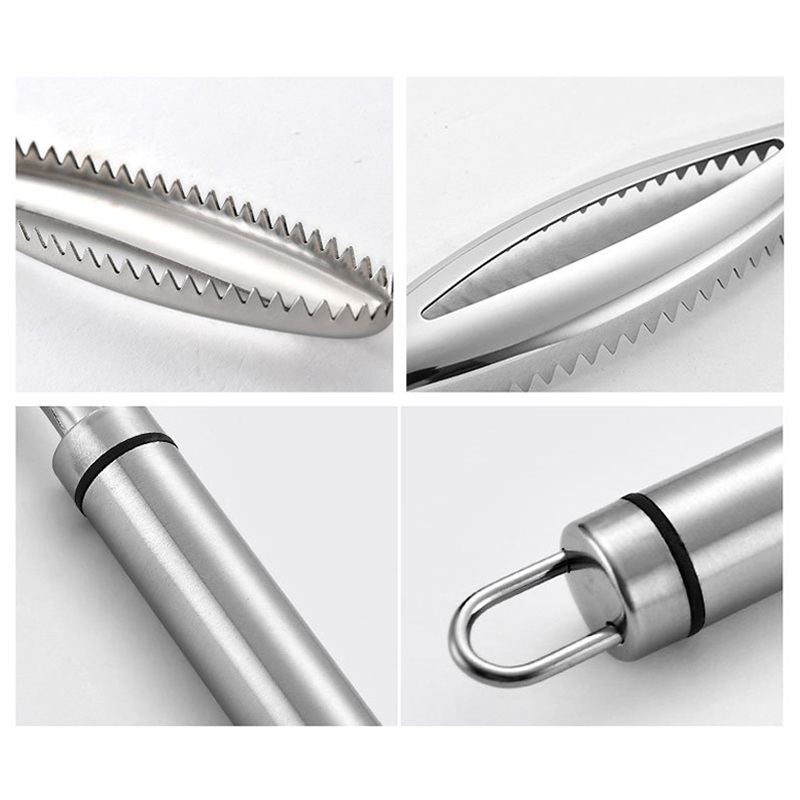 Efficient Fish Scales Scraping Stainless Scaler for Fish Cleaning  Kitchen & Dining room appliances