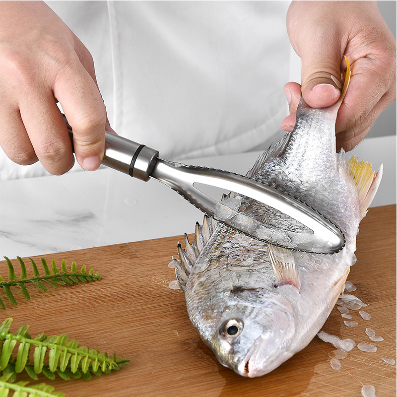 Efficient Fish Scales Scraping Stainless Scaler for Fish Cleaning  Kitchen & Dining room appliances