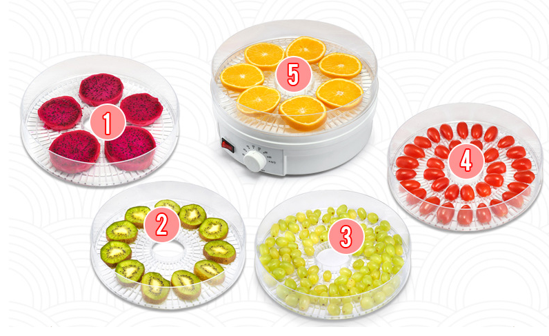 food dehydrator/fruit dryer