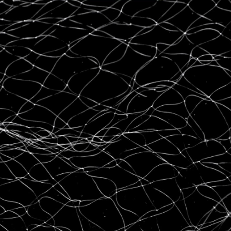 BL 3 Layers Monofilament Fishing Fish Gill Neting Tackle Fishing Fish Mesh Trap Sinking Net 25m*1.5m