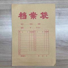 Changsha Office File bag Folders  CS029 random as picture