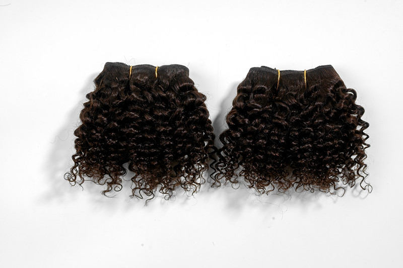 Jerry Curly Hair Bundles Remy Human Hair Extensions Nature Color 2 Bundles Thick Kinky Curly Weave