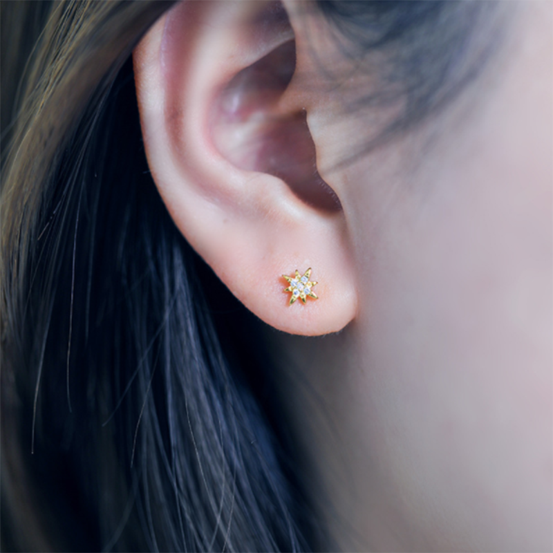 S925 Korean version of Super Sensi sterling silver stellar zircon stud earrings