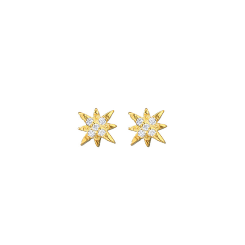 S925 Korean version of Super Sensi sterling silver stellar zircon stud earrings