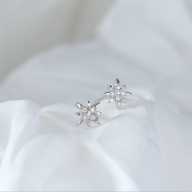S925 Korean version of Super Sensi sterling silver stellar zircon stud earrings