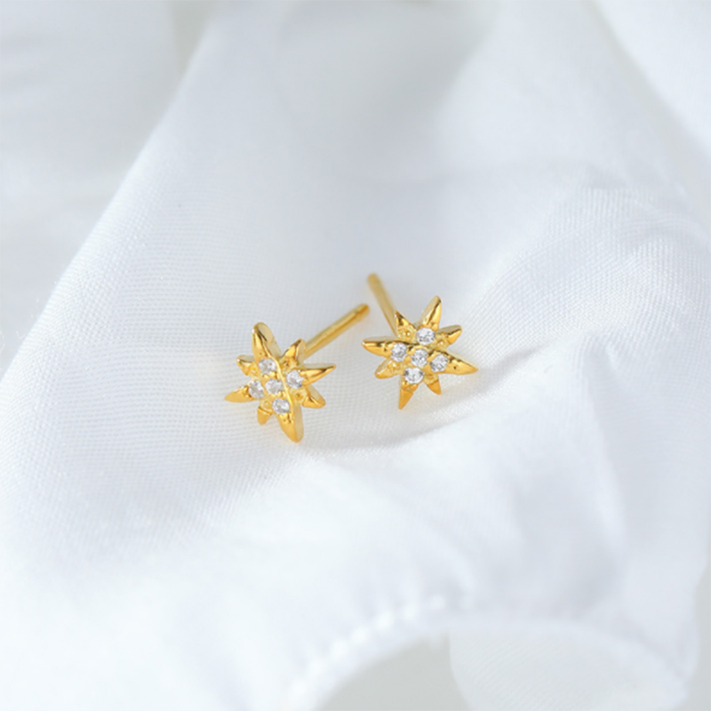 S925 Korean version of Super Sensi sterling silver stellar zircon stud earrings