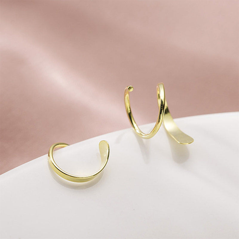Simple Wild Geometric Rotating 925 Sterling Silver Earrings