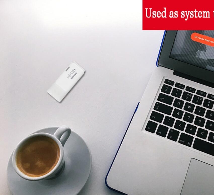 TOSHIBA flashdisks white Flash disks USB  Mini flash drive PenDrive for phones Memory Stick U301