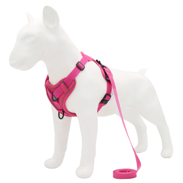 Adjustable Dog Harness No PullReflective Cat Harness Leash Set Breathable Puppy  Pet Products