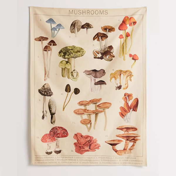 Quotes Mushroom Tapestry Wall Decor Mycology Mushroom Champignon Identification Chart Diagram  Home Decor