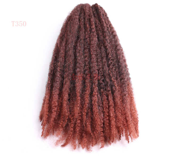 Hair twist braid beauty Wigs