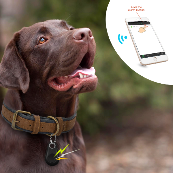Pet Smart GPS Tracker Mini Anti-Lost Waterproof Bluetooth Locator Tracer For Pet Dog Pet Products