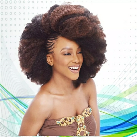 Afro kinky bulk braiding hair human hair fashion wig curly hair twist braid
