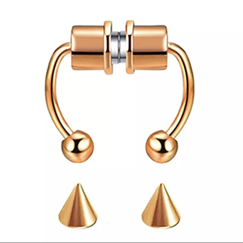 2021 Fake Piercing Nose Ring Alloy Nose Piercing Hoop Septum Rings For Women Body Jewelry Gifts