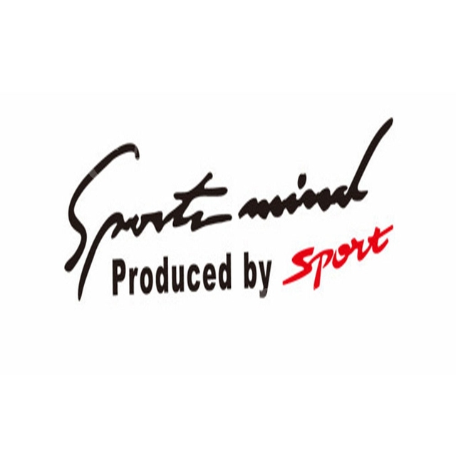 Sports Car Decoration Sticker Emblem Badge Decal Automobile Bonnet Sticker for Audi for BMW Paint, Body & Trim