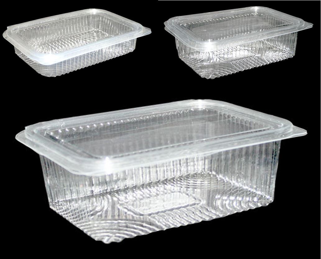 Disposable Plastic Punnet Food Packing &amp; Storage Containers - 20 Pcs