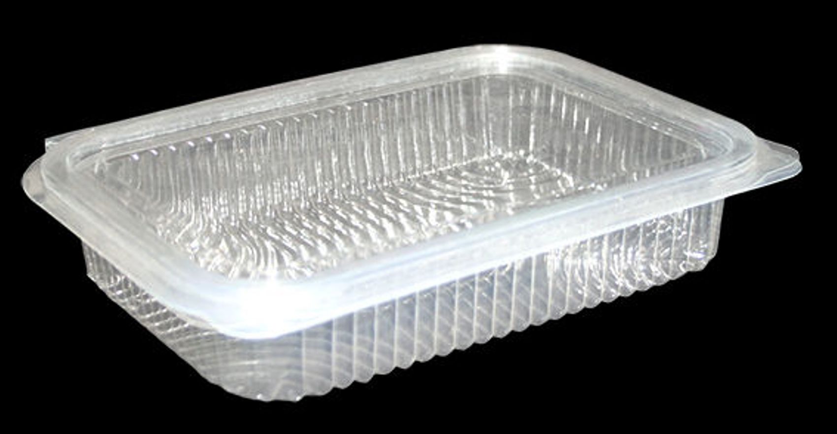 Disposable Plastic Punnet Food Packing &amp; Storage Containers - 20 Pcs