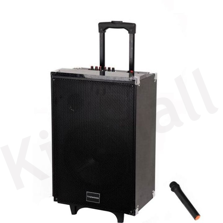 TAGWOOD LTS-12A  12000W Out-Door Subwoofer Multimedia Speaker With Li-Battery ,Wireless Mic, Bluetooth