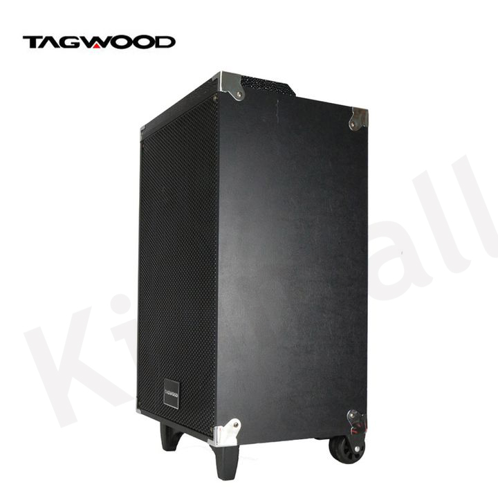 TAGWOOD LTS-12A  12000W Out-Door Subwoofer Multimedia Speaker With Li-Battery ,Wireless Mic, Bluetooth
