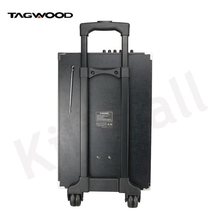TAGWOOD LTS-12A  12000W Out-Door Subwoofer Multimedia Speaker With Li-Battery ,Wireless Mic, Bluetooth