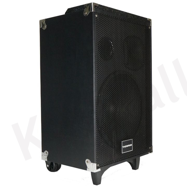 TAGWOOD LTS-12A  12000W Out-Door Subwoofer Multimedia Speaker With Li-Battery ,Wireless Mic, Bluetooth