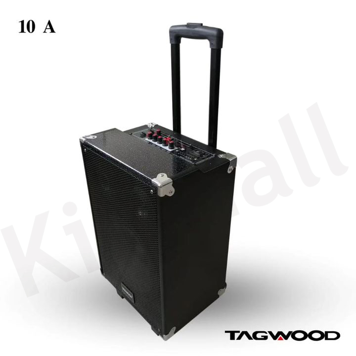 TAGWOOD LTS-10A Subwoofer Outdoor Speaker ,Bluetooth,Free Wireless Microphone &amp; a Built in Battery Woofer