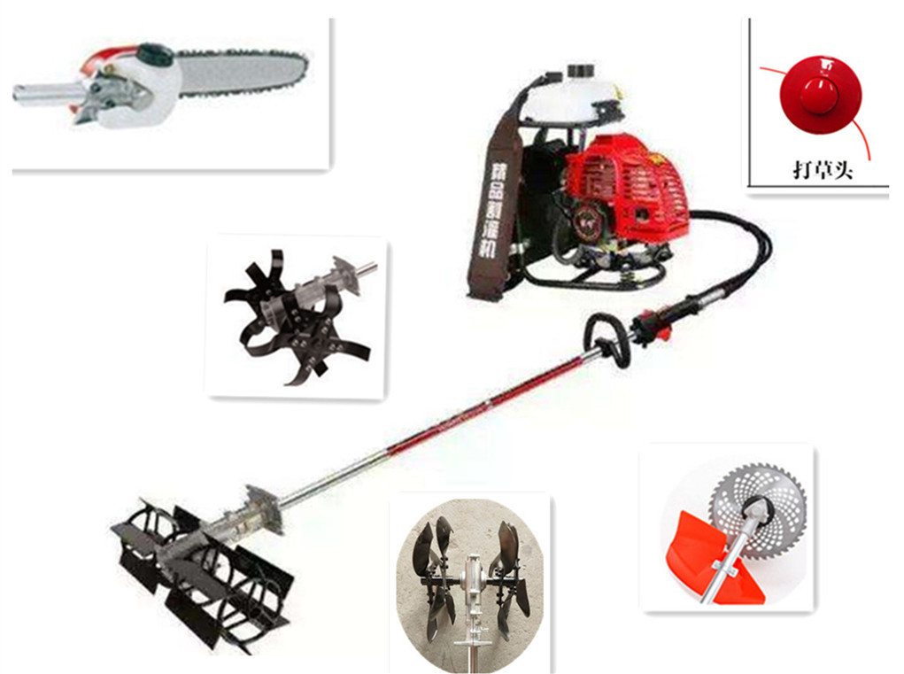 Grain weeding machine selling gold naked price Inda wheat field mower scarifier