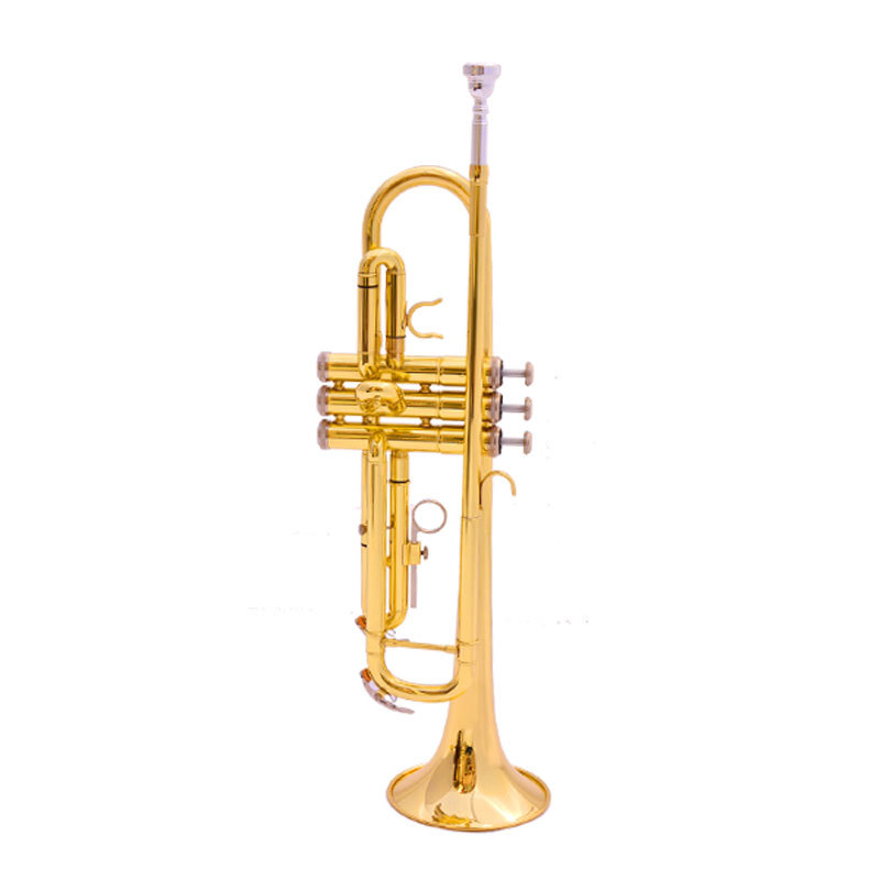 B flat Trumpet / trumpet instrument gold beginner&apos;s grade examination professional performance