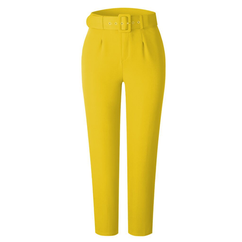 Women's spring and summer high waist casual trousers Ladies Autumn professional pants trousers