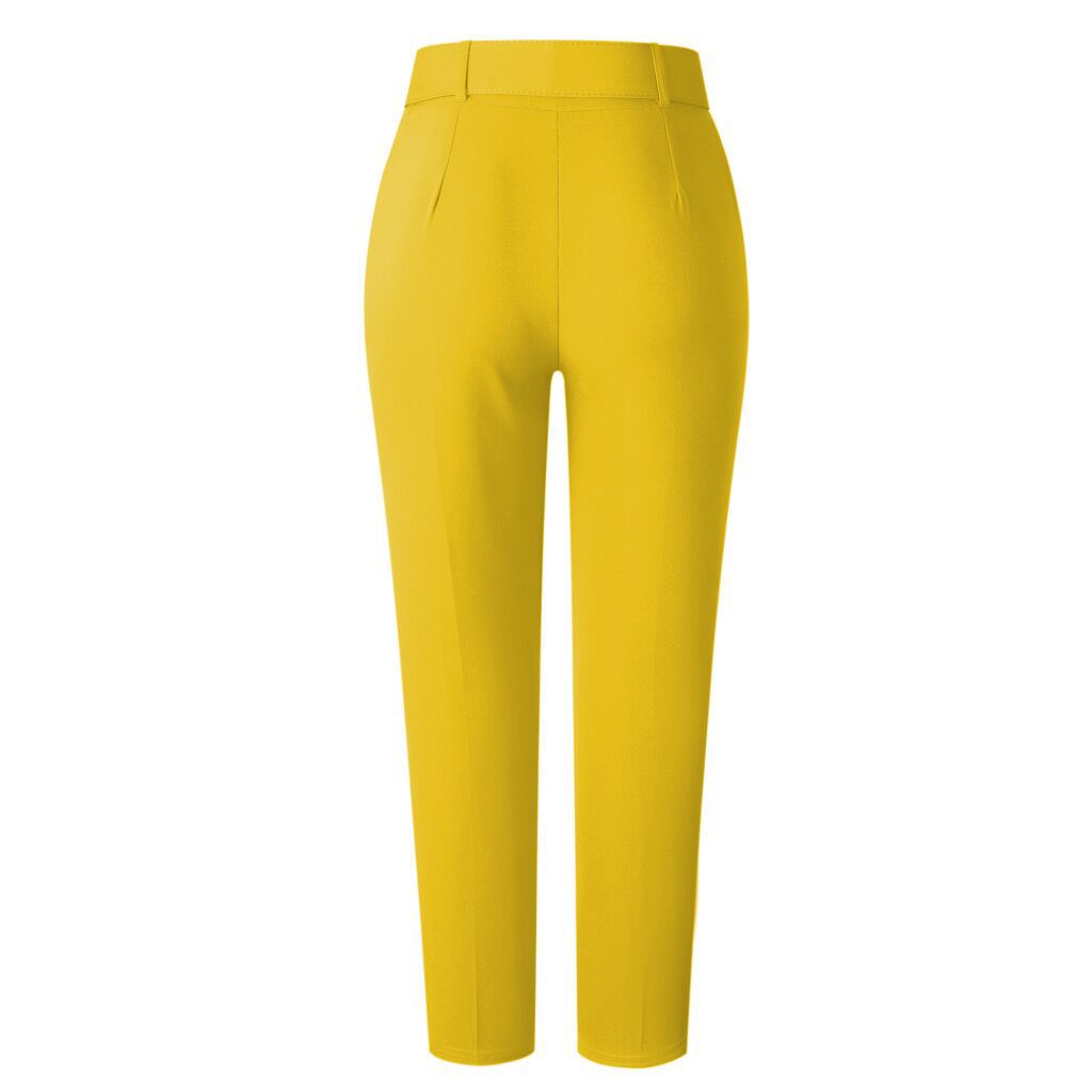 Women's spring and summer high waist casual trousers Ladies Autumn professional pants trousers