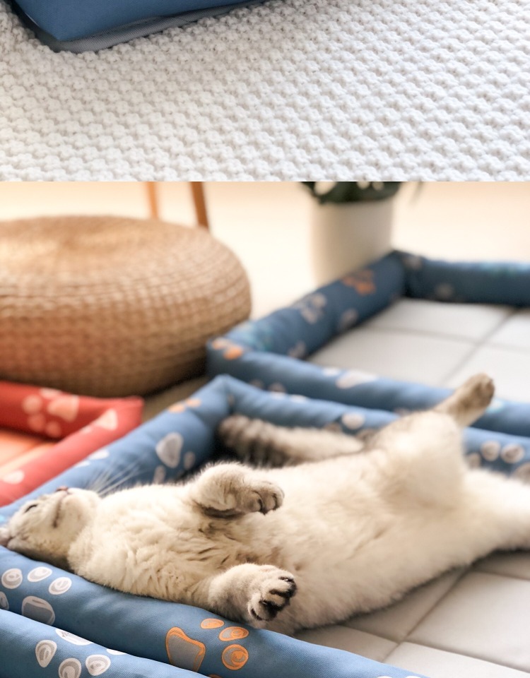 Universal Cat and Dog Mats Cool Down in Summer Sleeping Oxford Cloth Mats Four Seasons Pets.