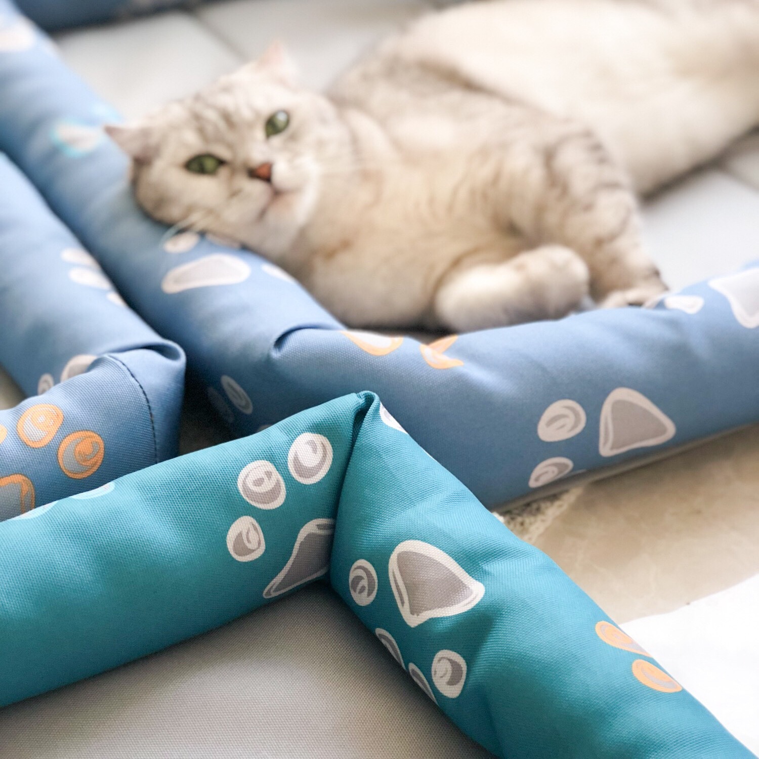Universal Cat and Dog Mats Cool Down in Summer Sleeping Oxford Cloth Mats Four Seasons Pets.