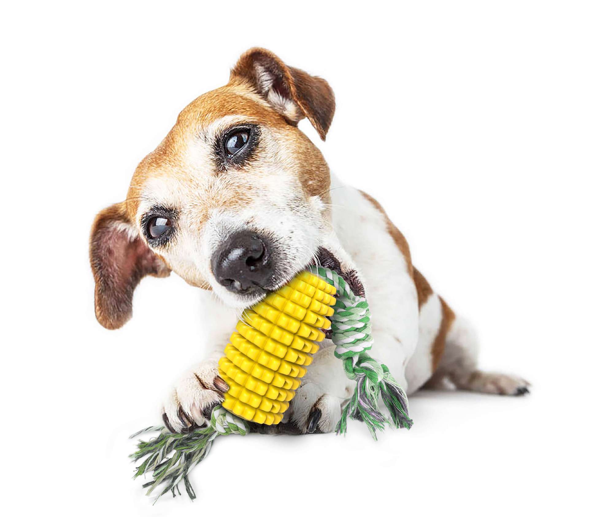 Pet Products New Explosion Dog Toy Corn Molar Stick Bite-Resistant Dog Toothbrush With Rope