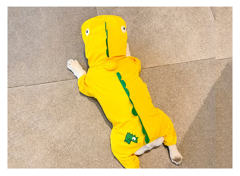 New Explosive Dog Raincoat Pet Clothes Rain Coat Cute Dinosaur.