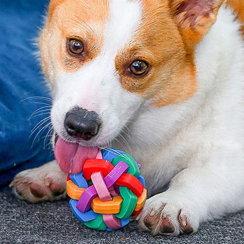 Colorful Pet Dog Molar Ball Soft Wear-Resistant Bite-Resistant Toy Ball Durable Interaction Toys