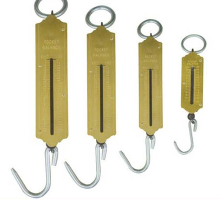 Commercial Pocket Balance Hanging Weighing Scales -