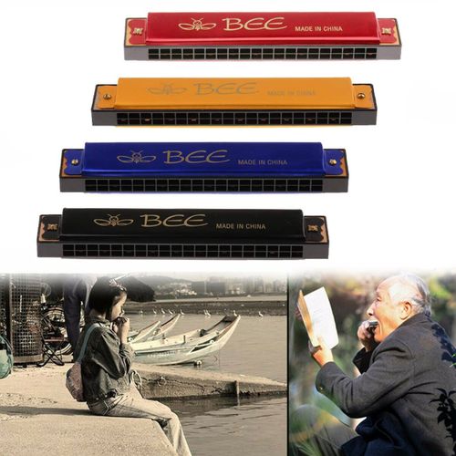 20 Holes Harmonica C Key Mouth Organ Musical Instrument