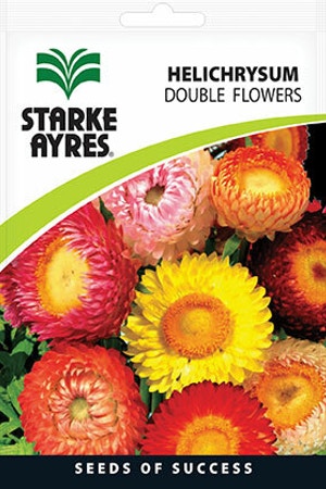 Starke Ayres Helichrysum Double Flowers Seeds