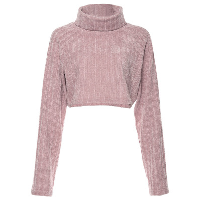 2021 High quality Long Sleeve Turtleneck Thick Sweatshirts Women Top Pullover Short Hoodies fashion tops