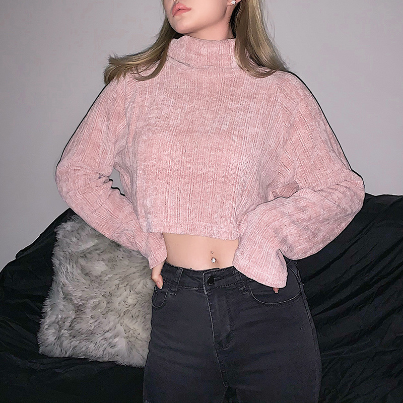 2021 High quality Long Sleeve Turtleneck Thick Sweatshirts Women Top Pullover Short Hoodies fashion tops