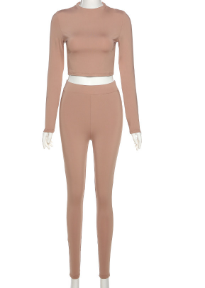 2021 High quality Close skin soft women Gymwear Matching   Long Sleeve Tops Tees and Leggings 2 Two Piece Gymwear