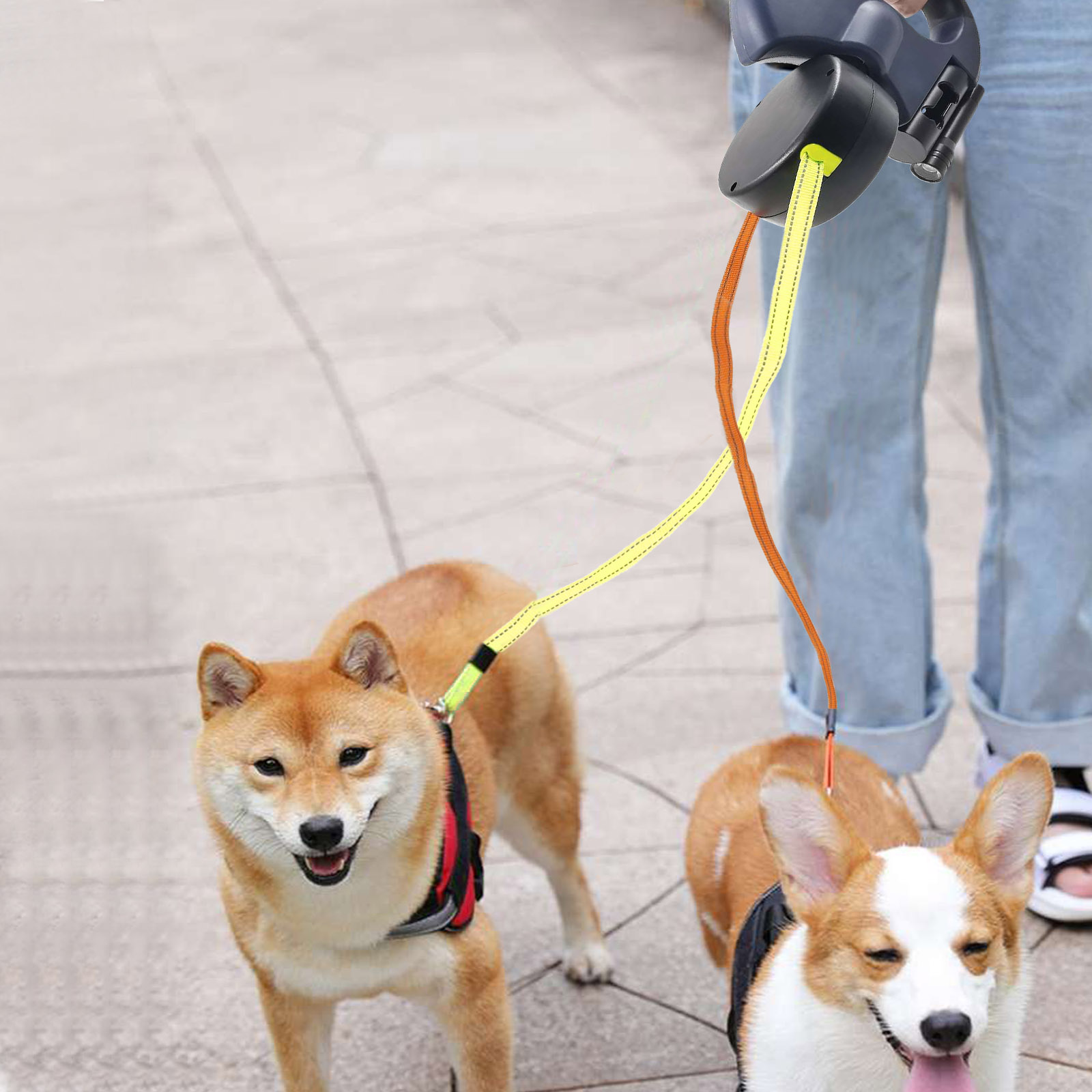 2021 High quality 360 Degree Double Head Traction Rope Dog Universal Automatic Retractable Outdoor Solid Supply 3 M